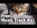 Download Lagu 30 Second Calm Music