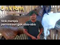Lagu Boer stoknya tipis permintaan terus naik