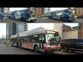 Pace Bus 2016 ElDorado National Axess BRT 6572 6571 On Rt 237 CTA 2012 NF DE60LFR 4329 On Rt 128