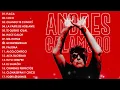 Andres Calamaro Grandes Exitos Enganchados - Andres Calamaro Live Full Concert