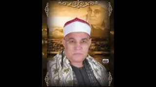 القيامة والانسان الشيخ محمد حامد السلكاوى 