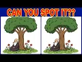 Download Lagu 【Spot the Difference】🌈 Enhance Concentration in a 10-Minute Brain Workout!【Find the Difference】