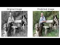 Image colorization using cGAN