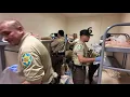 MCSO Jail Search