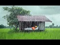 Download Lagu the shooting sound of rain is music played by nature, help relaxing and sleep