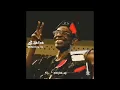 GENERAL MOSQUITO MEME (AFRICAN POLITICIAN POINTING TO CUTTING OFF THE HEAD - EXECUTION)