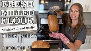 fresh milled flour sandwich bread soft honey whole wheat bread recipe autolyze method