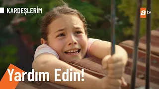 emelin hayat tehlikede kardeslerim 19 b l m