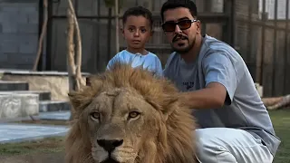 فيصل صار بدو اسد احضرو للاخير     دندنها