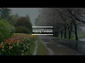 Special Rain on a Beautiful Flower Path: Sleep Induction White Noise, End of Tinnitus and Insomnia
