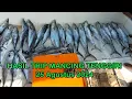 Download Lagu HASIL TRIP MANCING TENGGIRI HARI INI, SPOT KARANG KAIMUN PULAU SERIBU