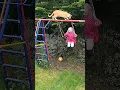 Download Lagu ELA NÃO DEIXOU O GATO PASSAR E ELE CAIU EM CIMA DELA #shorts #gatos #cat