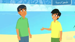 ما هي الصخور الرسوبية 