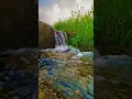 Download Lagu relaxation suara air #relaxingmusic #nature #relaxing #videoshort