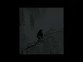 Ally Nicholas - Killing (Slowed and Reverb)