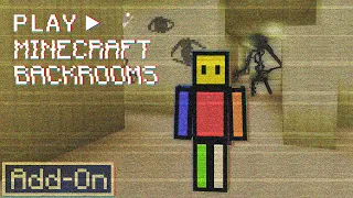 Pagué para entrar a los Backrooms de Minecraft