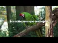 Baianá • Barbatuques | Legendado