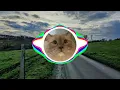 Download Lagu Jason Derulo - Wiggle (Slowed and Bass Boosted)
