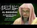 Download Lagu سورة البقرة كاملة بدون اعلانات فضيلة الشيخ سعود الشريم surah baqarah saud shuraim بث مباشر🔴
