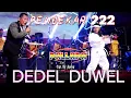 Lagu Brodin - Dedel Duwel - New Pallapa ( Official Music Video )