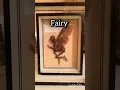 Mythical creatures caught on camera