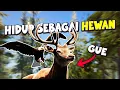 Download Lagu Gue Bertahan Hidup Sebagai RUSA Dan BURUNG Di Alam Liar - The WILDS