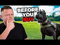 Is The GIANT Schnauzer Right For You