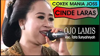 Download Cinde laras terbaru OJO LAMIS sinden Ayu Tata Sunyahnyoh Cokek sragen jos MP3