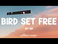 Bird Set Free - Sia (Lyrics) 🎵