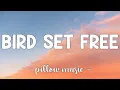 Lagu Bird Set Free - Sia (Lyrics) 🎵