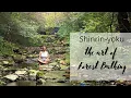 Forest Bathing - The Restorative Benefits of Shinrin-yoku
