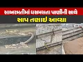 Download Lagu Ahmedabad : સાબરમતીમાં ધસમસતા પાણીની સાથે સાપ તણાઇ આવ્યા