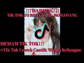 Download Lagu DEMAM TIK TOK!!! Tik Tok Cewek Cantik Lagu Wegah Kelangan