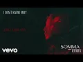 Download Lagu AVAION - I don't know why (SOMMA Remix | Official Visualizer)