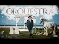 Download Lagu Muriel - ORQUESTRA 👰🏼‍♀️🎻 XOTE - FORROZÃO