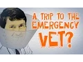 5 Signs of a Pet Emergency Stings Staggering Seizure Edition