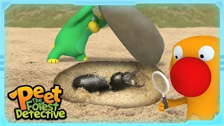 beach beetle footprints full episode 7 cartoons for kids peet the forest detective