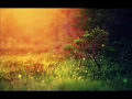 CHVRCHES - Leave A Trace (Goldroom Remix)