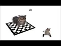 Dancing Rat x OIIA Cat [ 1 Hour ]
