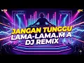 Lagu Remix Jangan Tunggu Lama-Lama – Enak Banget Buat Party!