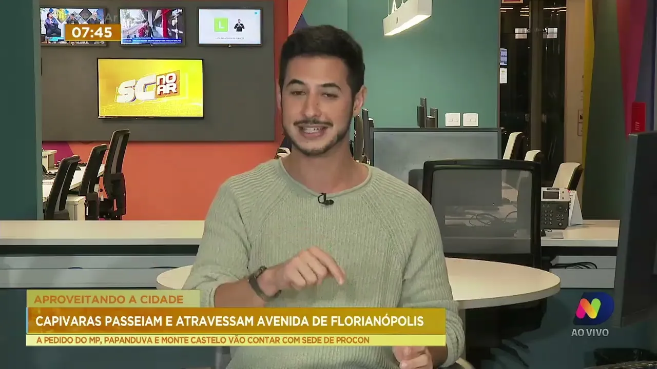 Capivaras passeiam e atravessam Avenida de Florianópolis