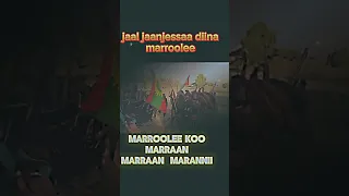 JAAL JAANJESSAA DIINA MARROOLEE 