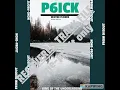 Download Lagu P6ICK - WINTER FLOWER FT.SUMDONG