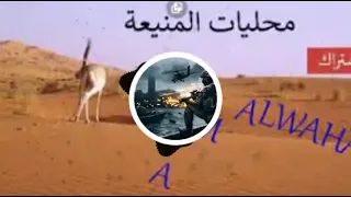 محلي المنيعة موسيقى خاصة 