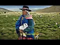 ALMAFUERTE ZAMBA DE RESURRECCION- IMAGENES Y LETRA