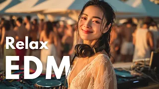 EDM Relax 15 Epic Melodic EDM Festival Vibes Party Focus Study Relax Playlist  EDM Relax 15 Epic Melodic EDM Festival Vibes Party Focus Study Relax Playlist