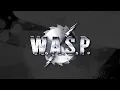 W.A.S.P. Paint It Black Official Lyric Video from Bonus Tracks & B-Sides