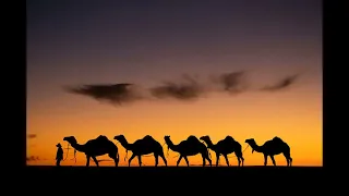 screwbot factory secrxt dj hollandez bucle 