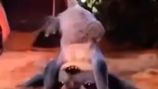 Lilo And Stitch Live Action: Stitch’s Butt Taunt Scene 2
