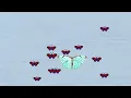BUTTERFLY OPTIMIZATION ALGORITHM B O A